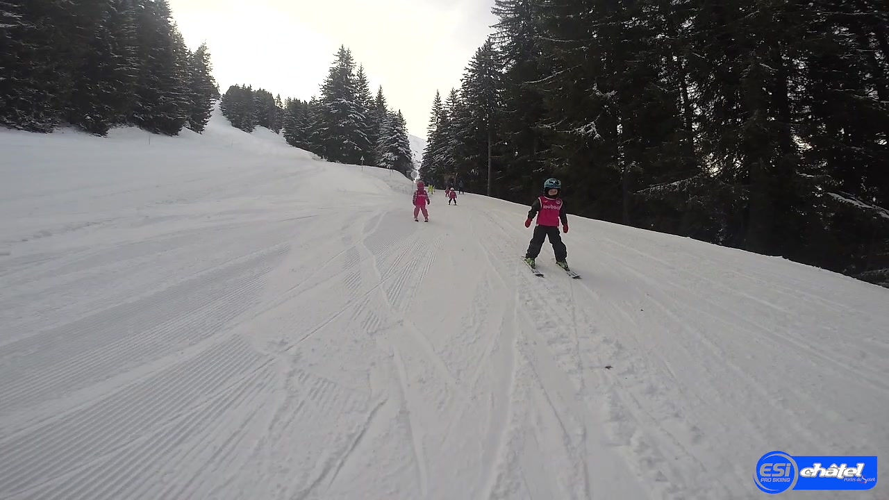 ESI Pro Skiing Vidéos